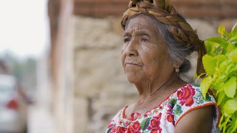 Portrait of Mexican craftswoman, wearing typical dress, sitting, looking at camera