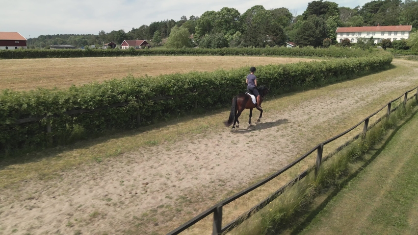 Aerial drone view of brown horse and rider trotting on the racetrack one hot summer day in the swedish countryside . 4K video, slowmotion x 2.