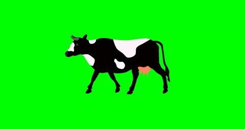 Walking Cow Cartoon Cow 2d Animation Stock Footage Video (100% Royalty