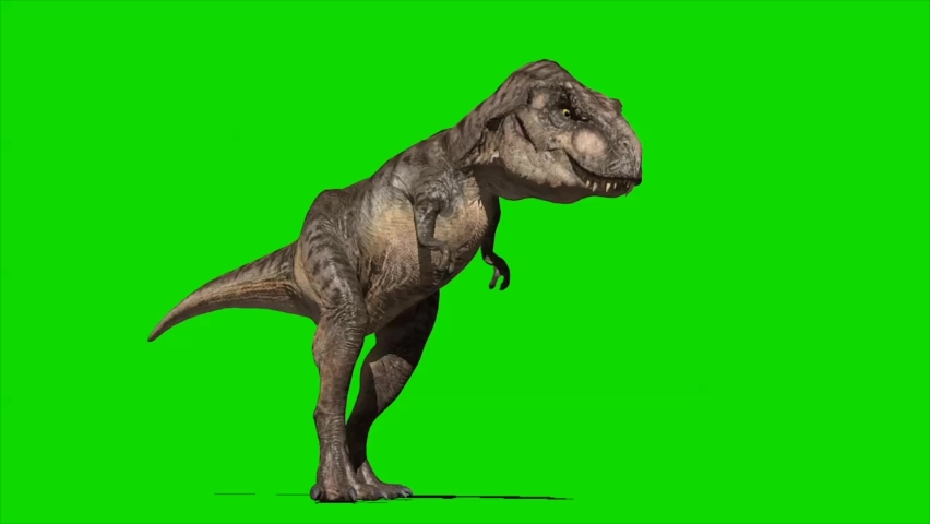 Dinosaur Roaring on Green Screen