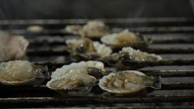 Scallops with shells being cooked on a grill