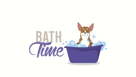 bath time lettering with little dog in tub animation ,4k video animated