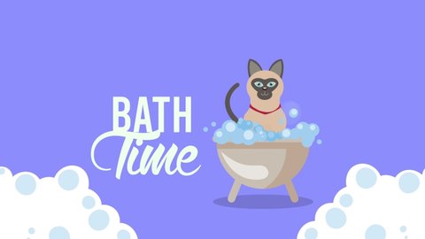 bath time lettering with little dog in tub ,4k video animated