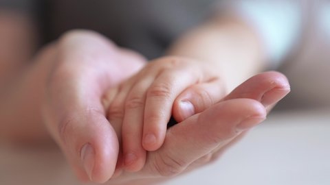 mom holds the hand of a newborn. close-up baby hand. hospital caring happy family medicine concept. baby newborn holding mom hand close-up. mom takes care of the baby in the hospital indoor