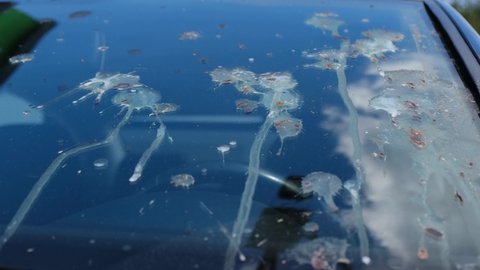The windshield of a car with lots of bird droppings.