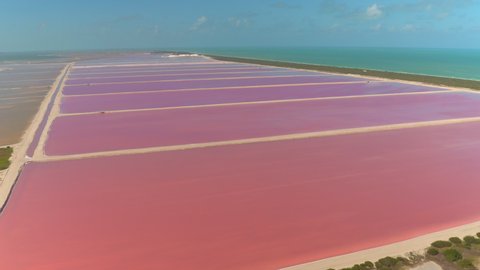 AERIAL: Flying over the breathtaking pink colored lagoons of famous Las Coloradas salt fields. Picturesque drone point of view of the colorful salt lakes in coastal Mexico on a sunny summer day.