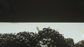 Group of fresh , organic , black and white mulberry fruits on the table .  Close up view of different kind of mulberries . Video Shot on ARRI ALEXA Cinema Camera with Laowa lens in slow motion . 