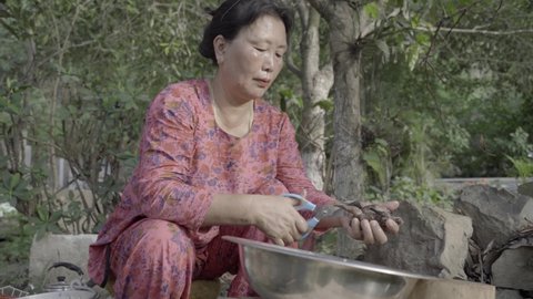 Imphal , Manipur , India - 04 15 2019: Asian Manipuri woman guts whole seared quail for traditional chulha