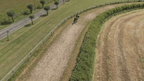 Aerial drone view of a brown horse and rider galloping on the racetrack one hot summer day in the swedish countryside . 4K video, slow motion x 2.