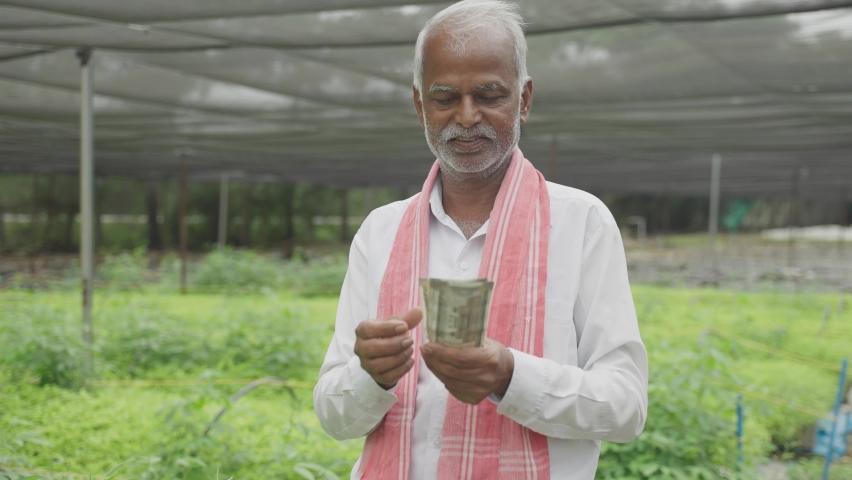 Happy Smiling Indian farmer counting Currency notes inside the greenhouse or polyhouse - concept of profit or made made money from greenhouse farming cultivation. Royalty-Free Stock Footage #1075977164