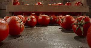 Organic freshly produced red ripe tomatoes on kitchen table. Close up shot of healthy vegetables with water drops on them ready to be cooked 4k footage