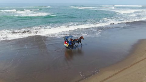 Horse carriage riding on Parangtritis beach, Yogyakarta, Indonesia, aerial
