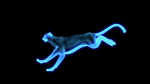 3D holographic running cheetah animation 