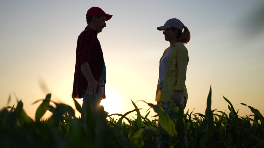 Agriculture. two farmers shake hands, conclude a business contract for a corn field. agriculture sale harvest concept. business handshake of farmers in sunlight a corn field. shake hands agriculture Royalty-Free Stock Footage #1076039111