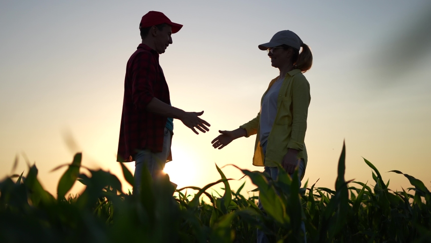 Agriculture. two farmers shake hands, conclude a business contract for a corn field. agriculture sale harvest concept. business handshake of farmers in sunlight a corn field. shake hands agriculture | Shutterstock HD Video #1076039111
