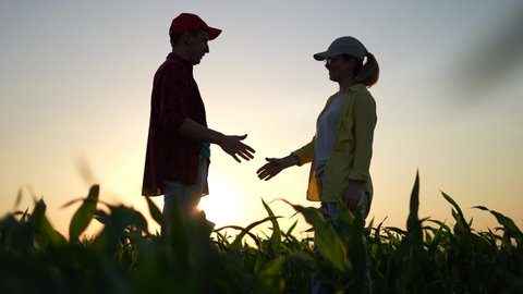 Agriculture. two farmers shake hands, conclude a business contract for a corn field. agriculture sale harvest concept. business handshake of farmers in sunlight a corn field. shake hands agriculture