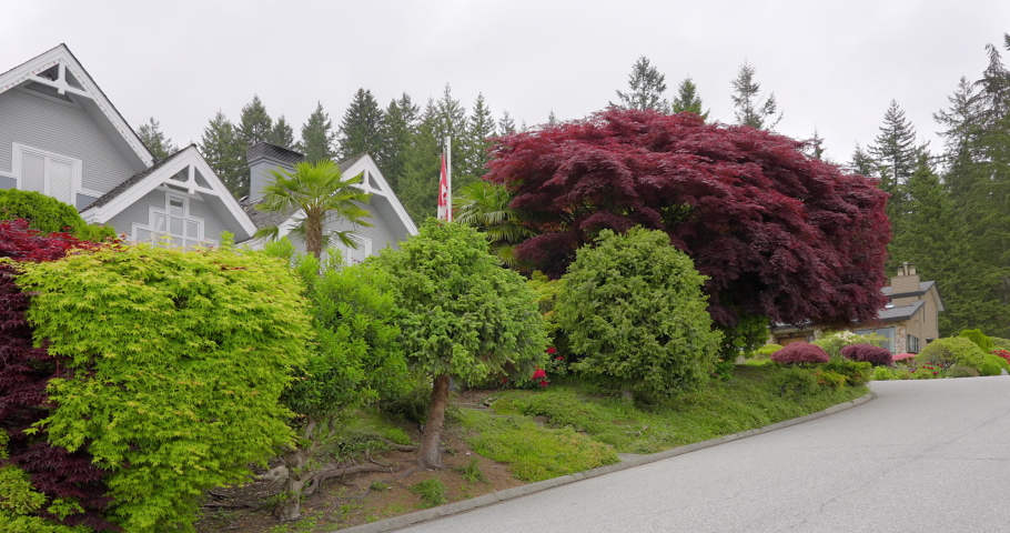 Establishing shot. Neighbourhood of luxury houses with street road, big trees and nice landscape in Vancouver, Canada. Blue sky. Day time on July 2021. Still camera view. ProRes 422 HQ.