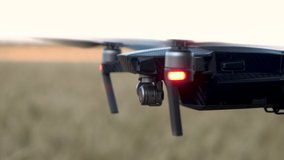 A black drone flies over a wheat field. close-up drone camera on gimbal