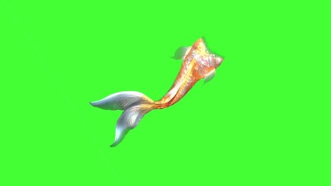 49 Mermaid Tail 3d Stock Video Footage - 4K and HD Video Clips | Shutterstock 49 Mermaid Tail 3d Stock Video Footage - 4K and HD Video Clips | Shutterstock