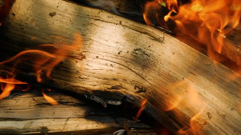 Close-up of chopped firewood burning. Fire on wood, Burning chopped wood in a stone fireplace. Bonfire of fire. Burning orange flame on the wood