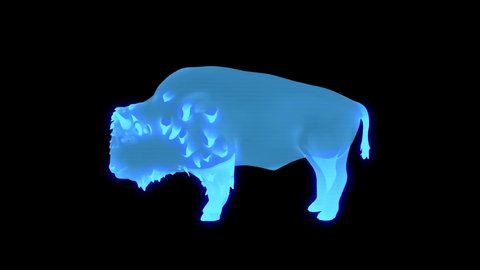 3D holographic bison looping animation 