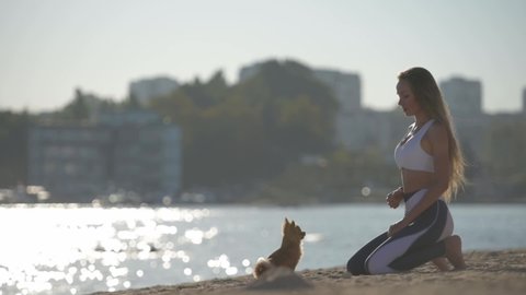 obedience relationship concept of young sport active woman playing with little chihuahua pet dog following orders high five on sea city summer beach during training leisure activity in slow motion