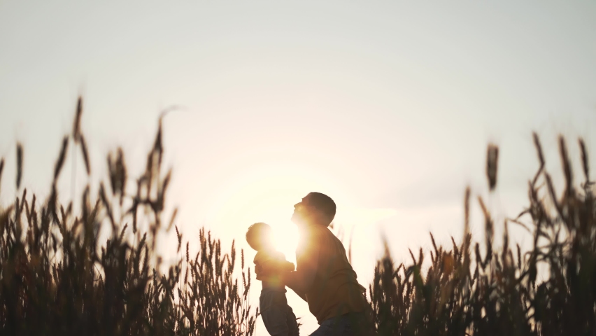 Happy family. Father tosses his son up. Family in wheat field. Father throws his baby son at sunset. Happy family concept. Father holds baby son in his arms and throws him into sky in wheat field. Royalty-Free Stock Footage #1076132282