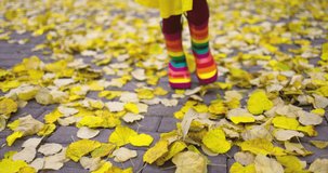 Happy little girl running with colorful boots and play with fallen autumn leaves
