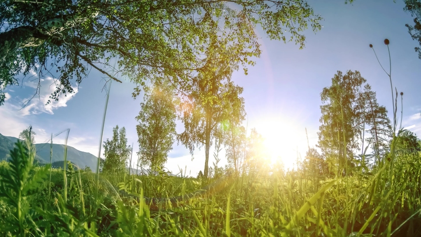 Mountain meadow time-lapse at the summer or autumn time. Wild nature and rural field. Clouds, trees, green grass and sun rays on horizont. Motorised slider dolly movement.