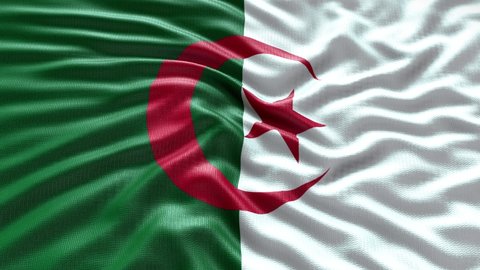 algeria flag seamless closeup waving animation. Wonderful shiny flag. Sign of algeria. algeria Background. 3D render, 4k resolution. 