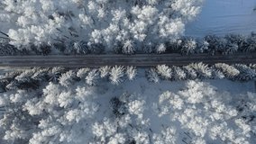 Aerial video of winter road alley surrounded by fir and birch trees. Drone video of trees covered with hoarfrost and snow. Natural winter background. Camera moves sideways.