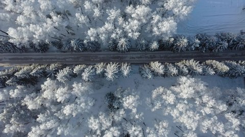 Aerial video of winter road alley surrounded by fir and birch trees. Drone video of trees covered with hoarfrost and snow. Natural winter background. Camera moves sideways.