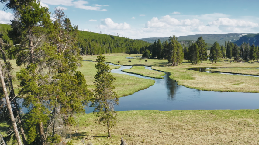 Cinematic wilderness nature with scenic curving river running by green meadow. Yellowstone National Park aerial view, flying over blue river in the American northern states at sunny summer Wyoming USA