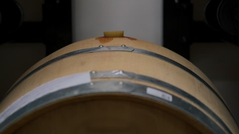 Marked wooden wine barrel closed with a stopper at winery. Aging stage in wine production