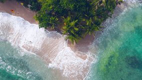 Nature video Aerial view top-view Beach sand and seawater wave Palm tree on beach sand.