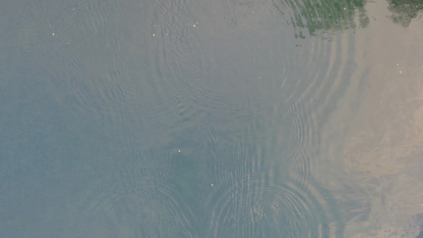 Person Rowing in Shell during Calm Workout. Top Down Aerial View