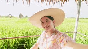 Lovely woman making video call showing large rice production field.