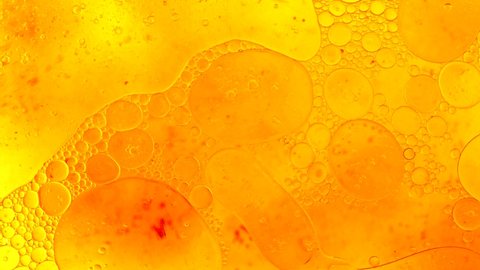 Red and orange oil drops floating on water surface, top view. Fantastic abstract background. Bright bubbles moving and spreading. Close up of weird liquid structures. Scientific chemical experiment