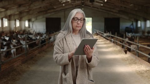 Senior woman in eyewear and casual clothes using digital tablet while working at goat farm. Modern technology for agriculture industry.
