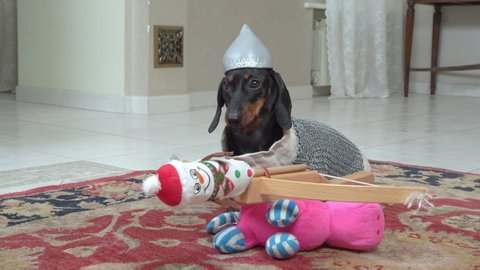 Funny puppy in costume of fairytale hero with protective helmet and chain mail prepared for battle catapult, loaded with projectile with soft toy in the shape of snowman.