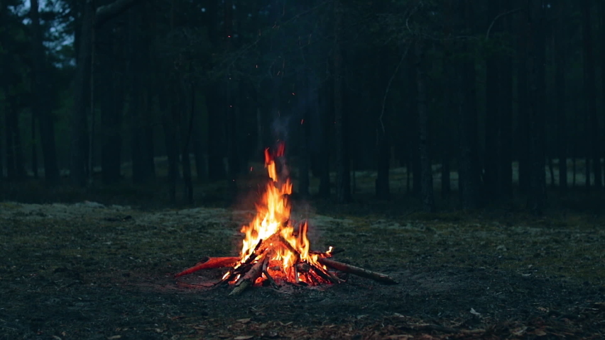 A Bonfire Burning in the Forest in Evening. Flaming Campfire. Fireplace in Nature - Static Shot, Slow Motion Royalty-Free Stock Footage #1076247656