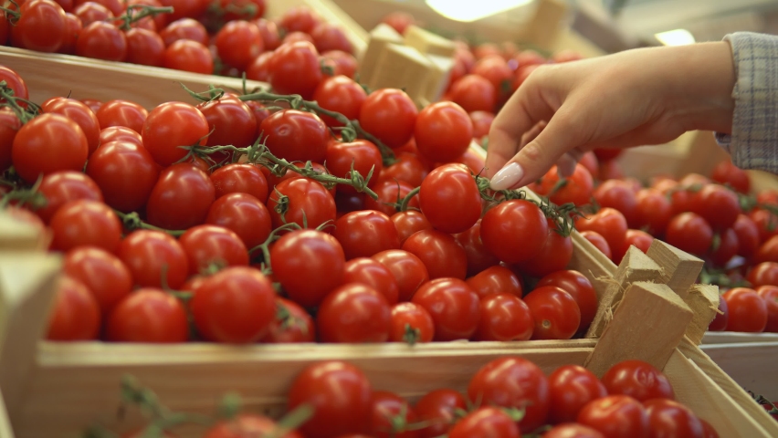 Woman choosing cherry tomatoes in supermarket, shelves with vegetables close up | Shutterstock HD Video #1076247791