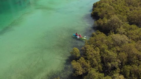 Aerial flying over Al Reem mangroves. Kayakers near vegetation
