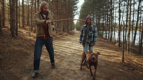 Caucasian man walking with girlfriend in forest, holding wooden stick and playing with excited pit bull dog