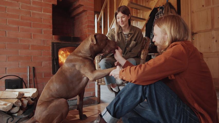 Caucasian family couple petting cute pit bull dog by fireplace in cozy farmhouse