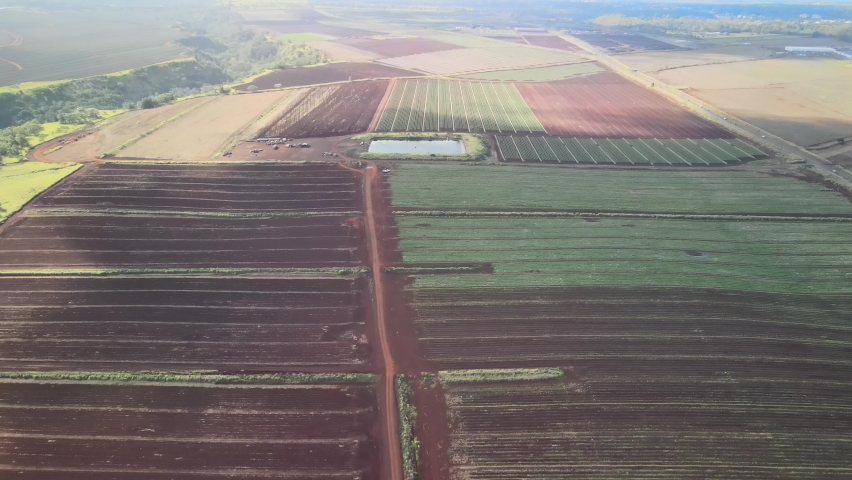 drone aerial view from above. View of farms in hawaii