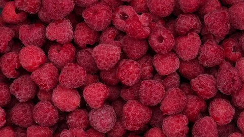fresh raspberries top view, rotating. 4K UHD video