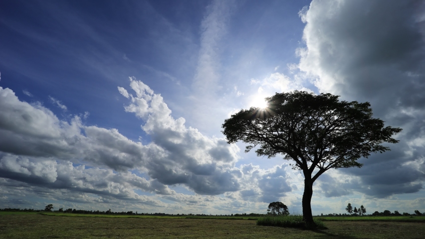 4K-Timelapse, Sky with the stormy cloud of rain over the rice field.