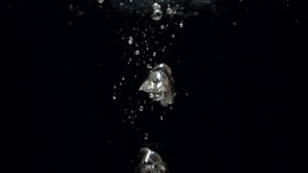 Slow motion air bubbles in water rising up to the surface on isolated black background. Slowmotion air bubbles floating under transparent water bubbles in aquarium - Powered by Shutterstock - Get 15% off with code: PIKWIZARD15