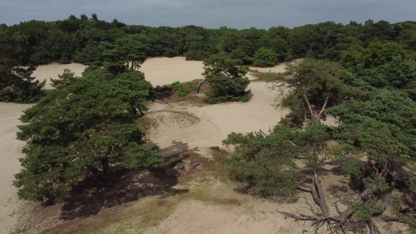 Shifting sands landscape Soesterduinen in the Netherlands, Aerial